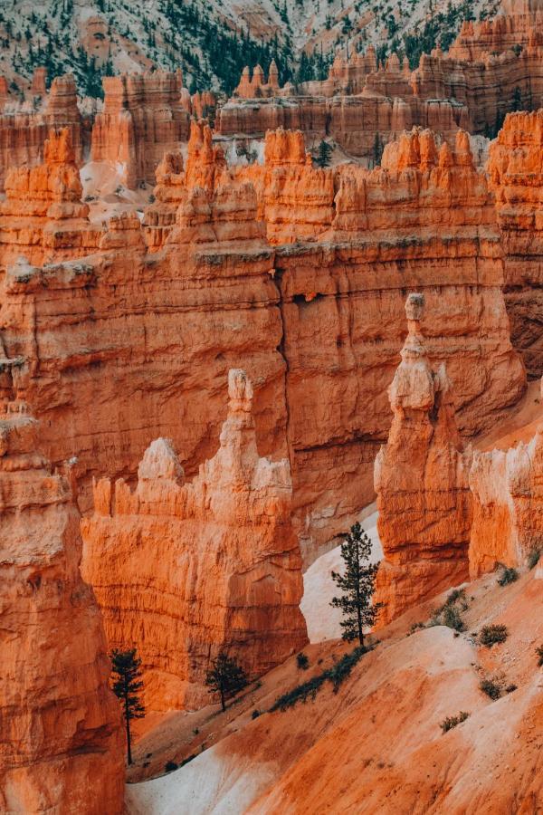 Wander Camp Bryce Canyon - Escalante Cannonville Exterior foto